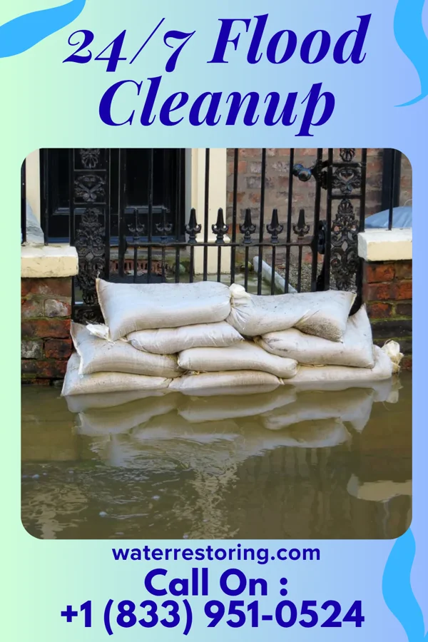 24/7 Flood Cleanup in Fort Stockton, TX