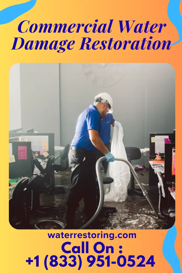 Commercial Water Damage Restoration in Fort Stockton, TX