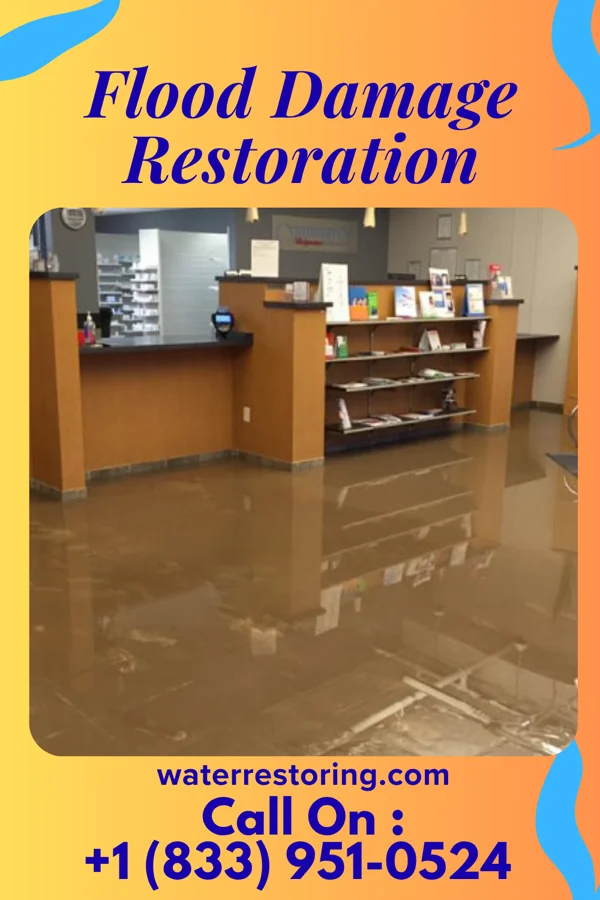 Flood Damage Restoration in Fort Stockton, TX