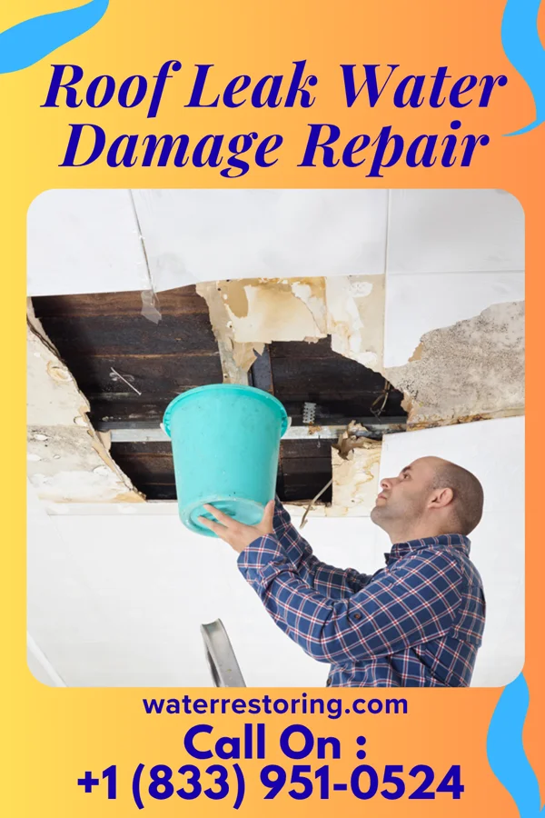 Roof Leak Water Damage Repair in Fort Stockton, TX