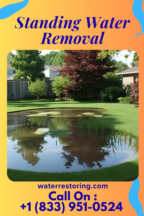 Standing Water Removal in Fort Stockton, TX